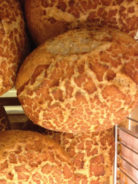 Tiger Bread Recipe