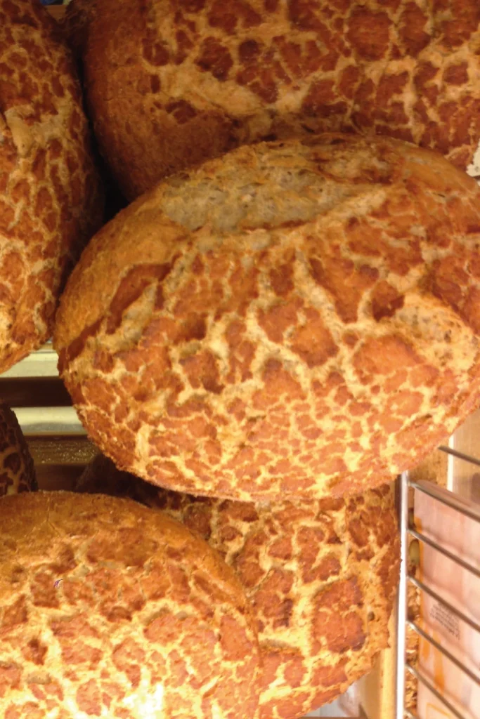 Tiger Bread Recipe